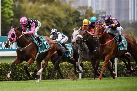 The gambler who cracked the horse.